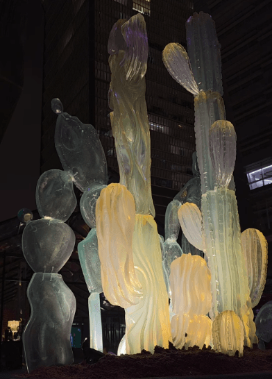 Cactus Garden installation at night