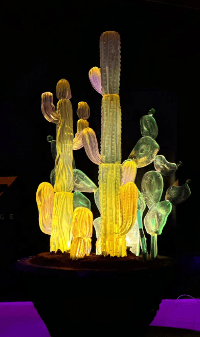 Cactus Garden, indoor lighting